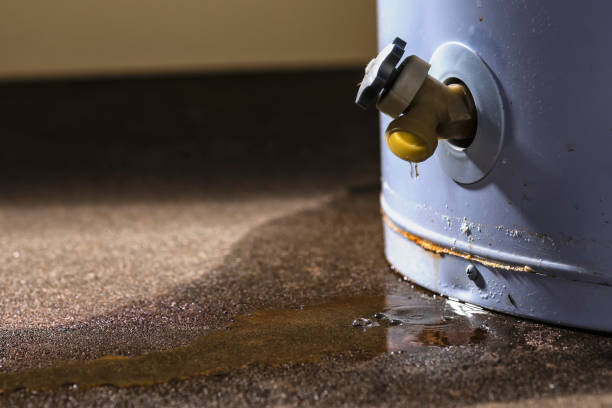 Best Commercial water damage restoration  in Forestdale, MA