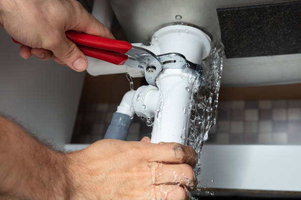 Best Flooded house restoration  in Forestdale, MA