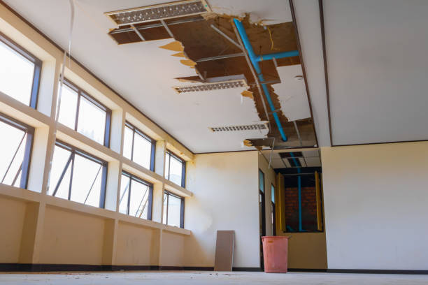 Best Carpet water damage restoration  in Forestdale, MA