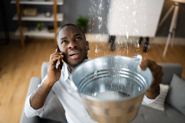 Best Ceiling water damage repair  in Forestdale, MA