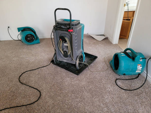Best Fire Damage Restoration  in Forestdale, MA