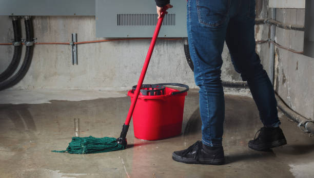 Best Water damage cleanup near me  in Forestdale, MA