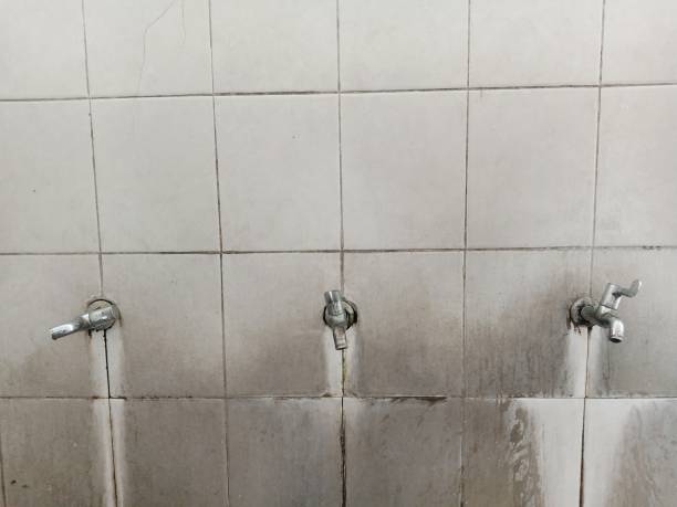 Local water damage restoration in Forestdale, MA
