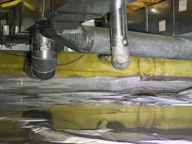 Best 24/7 water damage repair  in Forestdale, MA