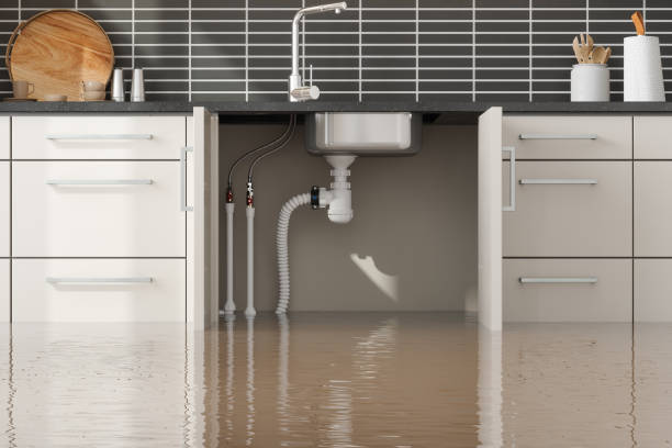 Best Local water damage restoration  in Forestdale, MA