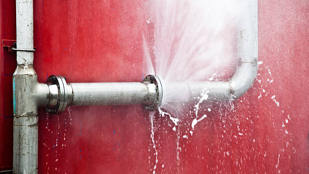 Best Flood damage cleanup  in Forestdale, MA