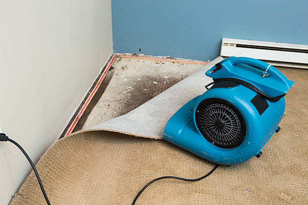  Forestdale, MA Water damage restoration Pros